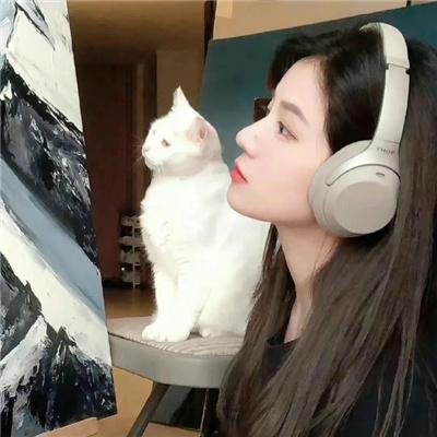 高考灰姑娘